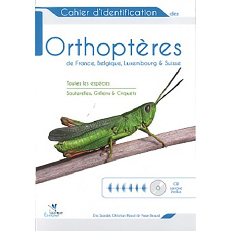 Cahier d'identification des Orthoptères
