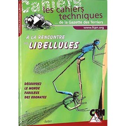 A la Rencontre des - Libellules