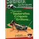 A La Rencontre des - Sauterelles,