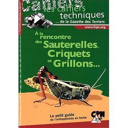 A La Rencontre des - Sauterelles,