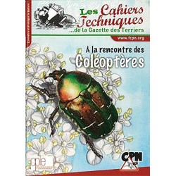 A la rencontre des - Coléoptères