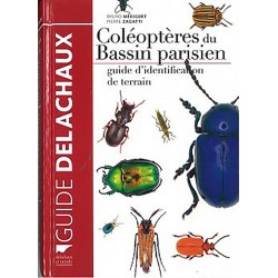 Coléoptère du Bassin Parisien