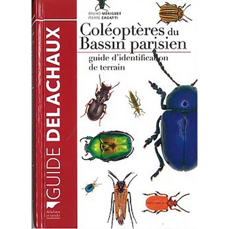 Coléoptère du Bassin Parisien