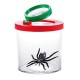 Boite loupe insecte