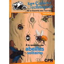 A la rencontre des - Abeilles solitaires