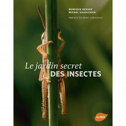 Le jardin secret des insectes