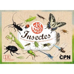 Kiquimank Insectes