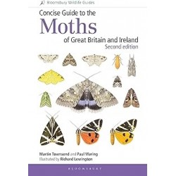 MOTHS