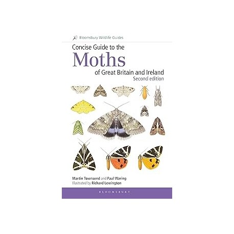 MOTHS