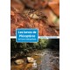Les larves de plécoptères de France métropolitaine