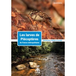 Les larves de plécoptères de France métropolitaine