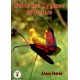 Guide des Libellules