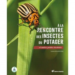 À la rencontre des insectes du potager