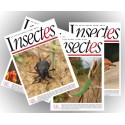 Revue Insectes