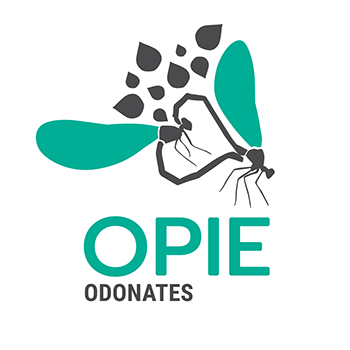 Logo Odonates