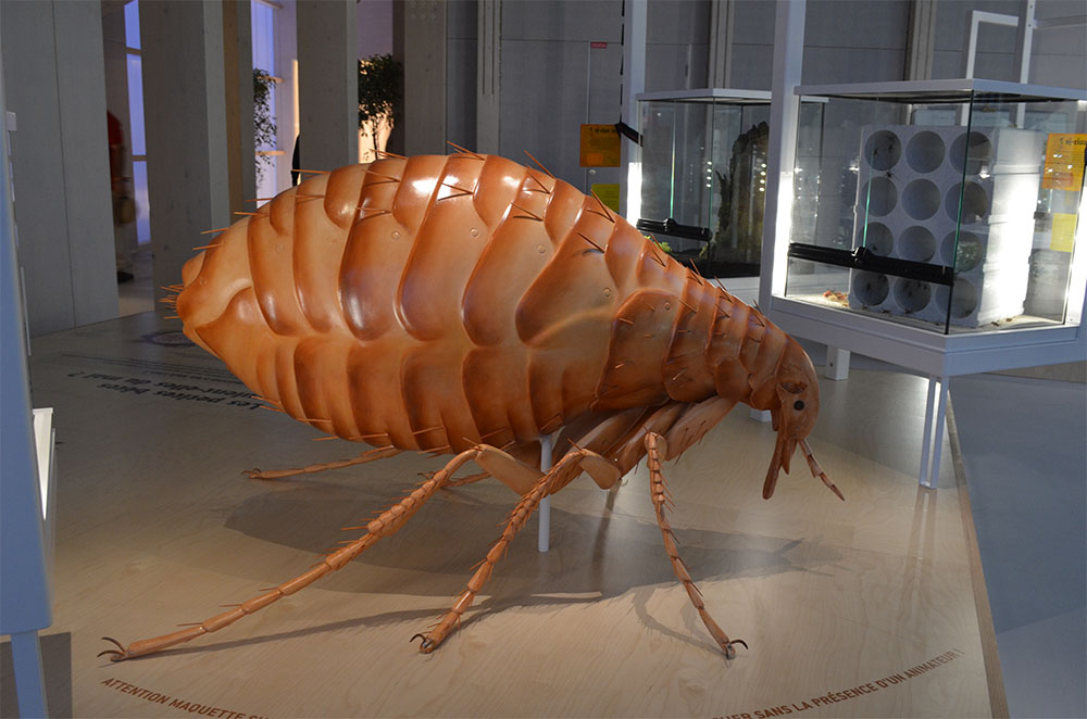 Maison des Insectes Carrières sous Poissy Opie
