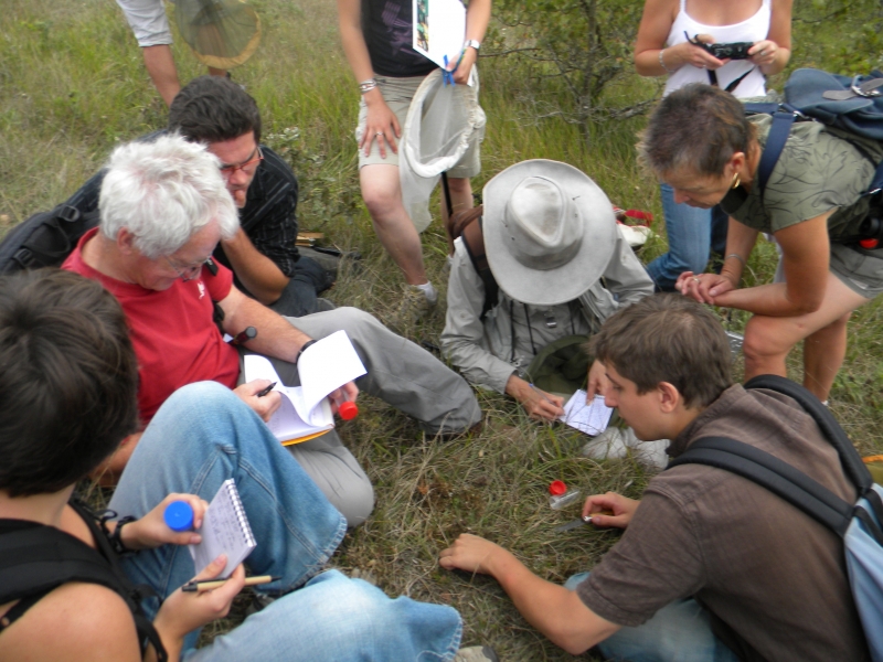 Participer aux activités Opie
